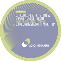 Thumbnail for the Wally Lopez - Strike Me Down (Remixes) link, provided by host site