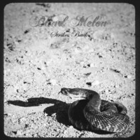 Thumbnail for the Blind Melon - Strikes Back link, provided by host site