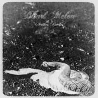 Thumbnail for the Blind Melon - Strikes Back Redux link, provided by host site