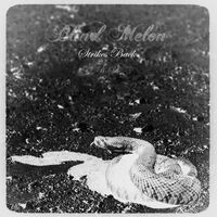Thumbnail for the Blind Melon - Strikes Back Redux link, provided by host site