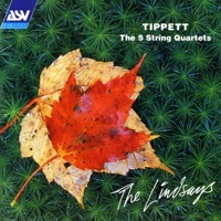 Thumbnail for the Lindsay String Quartet - String Quartet No. 1: 1. Allegro link, provided by host site