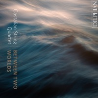 Thumbnail for the Castalian String Quartet - String Quartet No. 15 in A Minor, Op. 132: V. Allegro appassionato link, provided by host site