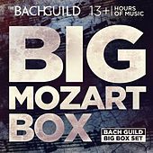 Thumbnail for the Yale String Quartet - String Quartet No. 15 in D Minor, K. 421: iii. Menuetto: Allegretto link, provided by host site