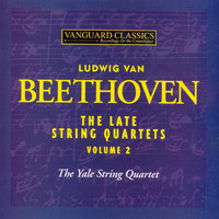 Thumbnail for the Yale String Quartet - String Quartet No. 16 in F Major, Op. 135: II. Vivace link, provided by host site