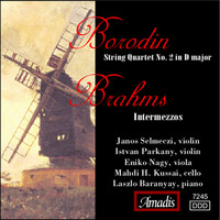 Thumbnail for the Alexander Borodin - String Quartet No. 2 in D Major: I. Allegro moderato link, provided by host site
