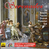 Thumbnail for the Alexander Borodin - String Quartet No. 2 in D Major: III. Notturno. Andante link, provided by host site