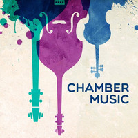 Thumbnail for the Franz Schubert - String Quintet in C, D.956 : 1. Allegro ma non troppo link, provided by host site