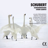 Thumbnail for the Christian Tetzlaff - String Quintet in C Major, D. 956: II. Adagio link, provided by host site
