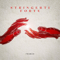 Thumbnail for the France - Stringerti forte link, provided by host site