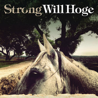 Image of Will Hoge linking to their artist page due to link from them being at the top of the main table on this page