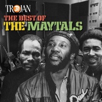 Thumbnail for the the Maytals - Struggle link, provided by host site