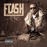 Thumbnail for the Flash - Struggle Stress & Strength link, provided by host site