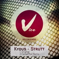 Thumbnail for the Kydus - Strutt link, provided by host site