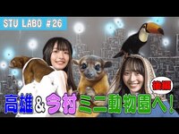 Thumbnail for the STU48 - 【STU LABO】〜サヤゴロウどうぶつ王国 母になる？編〜 (毎週月曜20:00更新) link, provided by host site