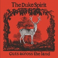 Thumbnail for the The Duke Spirit - Stubborn Stitches link, provided by host site