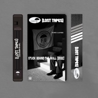 Thumbnail for the Tory Lanez - Stuck Behind The Wall (Lost Tapes 2022) link, provided by host site