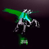 Thumbnail for the What So Not - Stuck in Orbit (Luttrell Remix) link, provided by host site