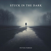 Thumbnail for the Peyton Parrish - Stuck In The Dark link, provided by host site
