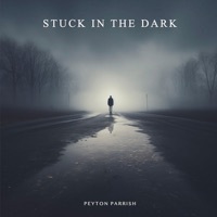 Thumbnail for the Peyton Parrish - Stuck In the Dark link, provided by host site