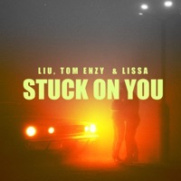 Thumbnail for the Liu - Stuck On You link, provided by host site