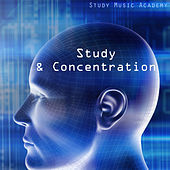 Thumbnail for the Study Music Academy - Study & Concentration - Good Study Music and Relaxing Meditation Songs for Mind Power, Focus, Brain Stimulation and Studying link, provided by host site