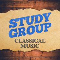 Thumbnail for the Studying Music - Study Group Classical Music link, provided by host site