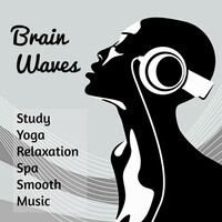 Thumbnail for the Concentration Music Ensemble - Study Music link, provided by host site