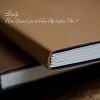 Thumbnail for the Reading and Studying Music - Study: Rain Sounds for Noise Reduction Vol. 1 link, provided by host site