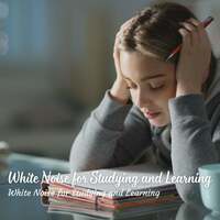 Thumbnail for the White Noise for Studying - Study Serenades: White Noise for Studying and Learning link, provided by host site
