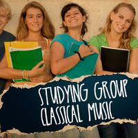 Thumbnail for the Exam Study Classical Music Orchestra - Studying Group Classical Music link, provided by host site