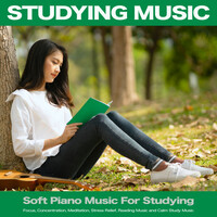 Thumbnail for the Study Music - Studying Music: Soft Piano Music For Studying, Focus, Concentration, Meditation, Stress Relief, Reading Music and Calm Study Music link, provided by host site