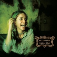 Thumbnail for the Ani DiFranco - Studying Stones link, provided by host site