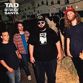 Thumbnail for the Tad - Stumblin' Man (Remastered) link, provided by host site