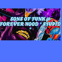 Thumbnail for the Sons Of Funk - Stupid link, provided by host site