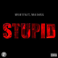Thumbnail for the Sons Of Funk - Stupid link, provided by host site