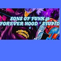 Thumbnail for the Sons Of Funk - Stupid link, provided by host site