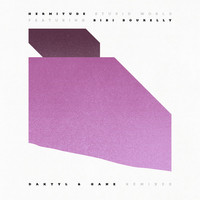 Thumbnail for the Hermitude - Stupid World [Daktyl & GANZ Remixes] link, provided by host site