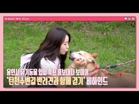 Thumbnail for the APink - (SUB) Mini Diary - 용인시 유기동물 입양 촉진 홍보대사 보미의 ‘탄천수변길 반려견과 함께 걷기’ 비하인드 🐶🐾 link, provided by host site