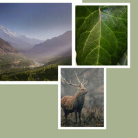 Thumbnail for the Musica Rilassante & Benessere - Sublime Background for Yoga Flow link, provided by host site