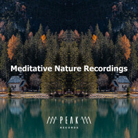 Thumbnail for the Sounds Of Nature - Sublime Distant link, provided by host site