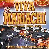 Thumbnail for the Mariachi Arriba Juárez - Sublime Mujer link, provided by host site