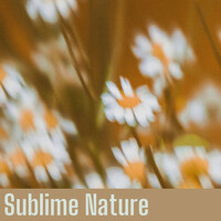 Thumbnail for the Nature Sounds Nature Music - Sublime Nature link, provided by host site