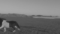Thumbnail for the Julien Doré - Sublime & Silence link, provided by host site