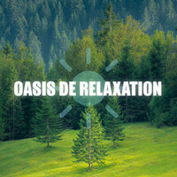 Thumbnail for the Oasis de Détente et Relaxation - Sublime Space link, provided by host site