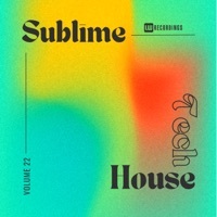 Thumbnail for the Various Artists - Sublime Tech House, Vol. 22 link, provided by host site