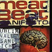 Thumbnail for the Meat Beat Manifesto - Subliminal Sandwich link, provided by host site