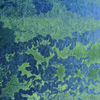 Thumbnail for the Jana Winderen - Submerged link, provided by host site