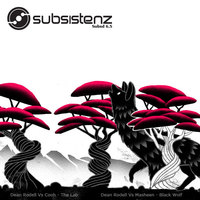Thumbnail for the Dean Rodell - Subsistenz Digi 6.5 link, provided by host site