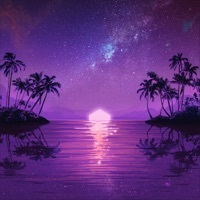 Thumbnail for the Purple Disco Machine - Substitution [Birdee Remix Extended] link, provided by host site
