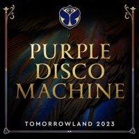 Thumbnail for the Purple Disco Machine - Substitution [Mixed] link, provided by host site